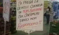 加拿大超市吃瓜,一场视觉与味蕾的盛宴