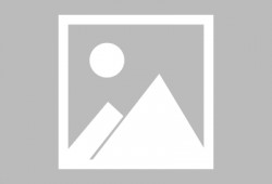 吃瓜小助理余景天,揭秘娱乐圈幕后趣闻